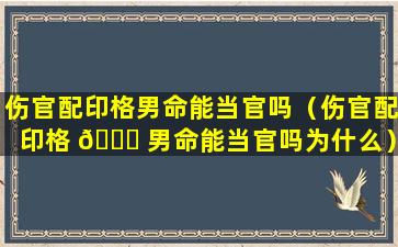 伤官配印格男命能当官吗（伤官配印格 🐎 男命能当官吗为什么）